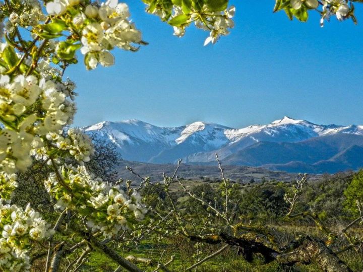 Bierzo Enoturismo